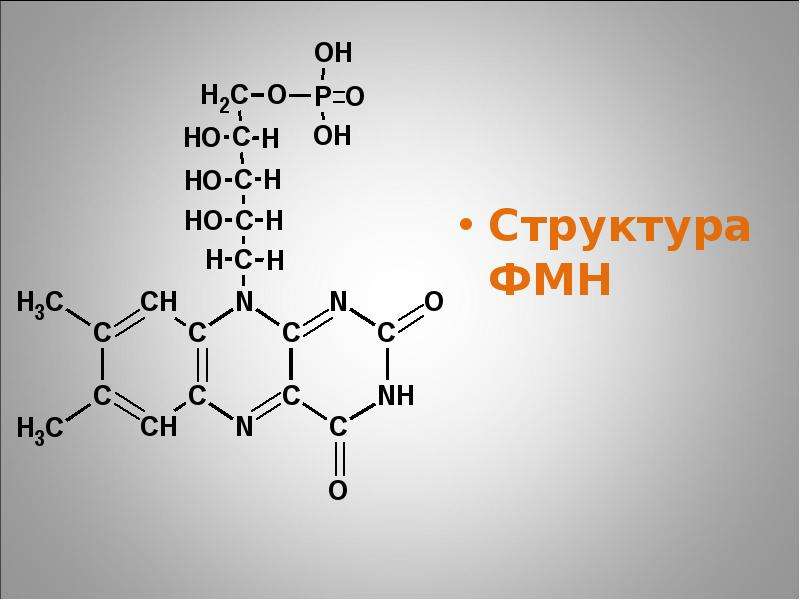 Структура 10. ФМН структурная формула. Флавинмононуклеотид структурная формула. Структура ФМН. ФМН хим формула.