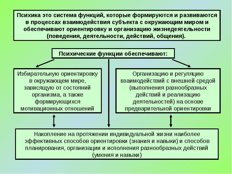 Развивающие группы теоретические направления. Рис. 1.2. Взаимодействие когнитивной психологии и кибернетики. Образец исследования когнитивной сферы мамы в экспертизе.