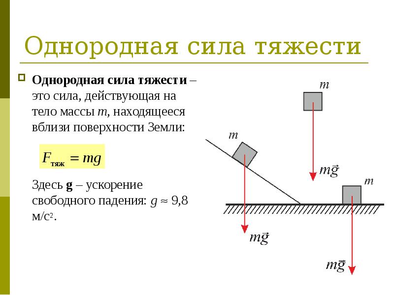 На диаграмме показаны значения сил действующих на тела разной массы и ускорения