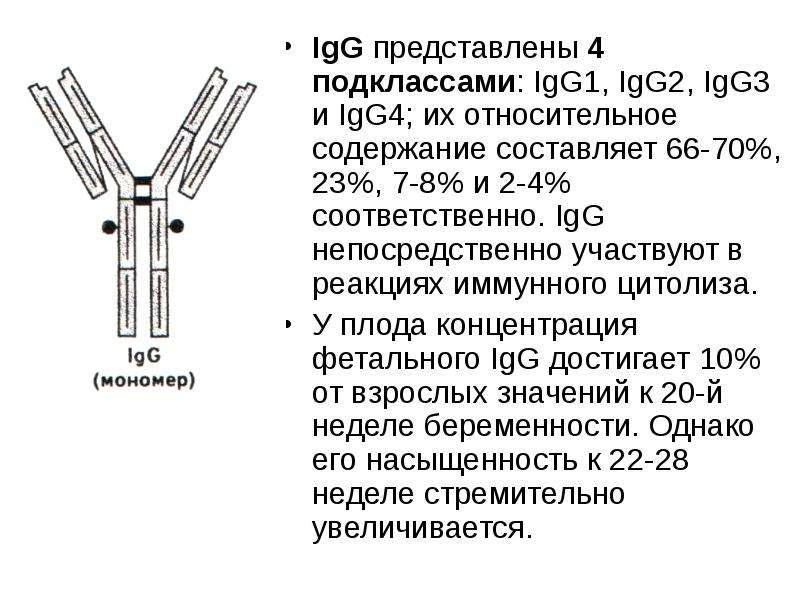 Igg это. Антитела ig g 3.69. IGG подклассы. Igg1. IGG схема.