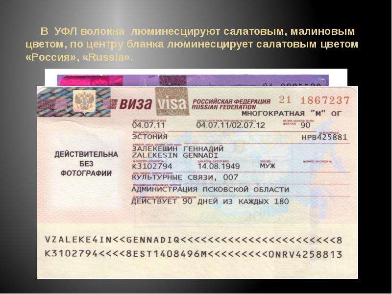 Идентификатор гражданина что это. Российская виза. Идентификатор Российской визы.