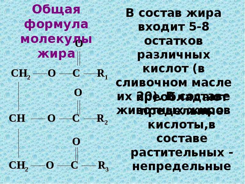 Состав жиров. Формула свиного жира химия. 2. Общая формула жиров. Формула животных жиров. Жиры структурная формула.