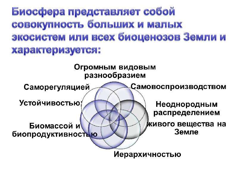 Структура биосферы 8 класс презентация