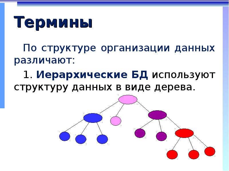 Примером иерархической базы данных является. Организация данных. Структура организации данных. БД по структуре организации данных. Какие существуют структуры организации данных.