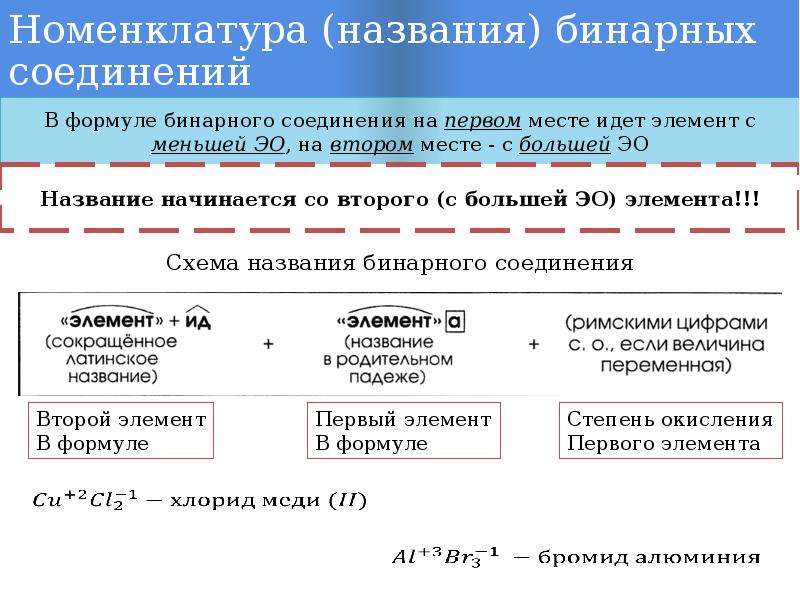 Бинарная номенклатура