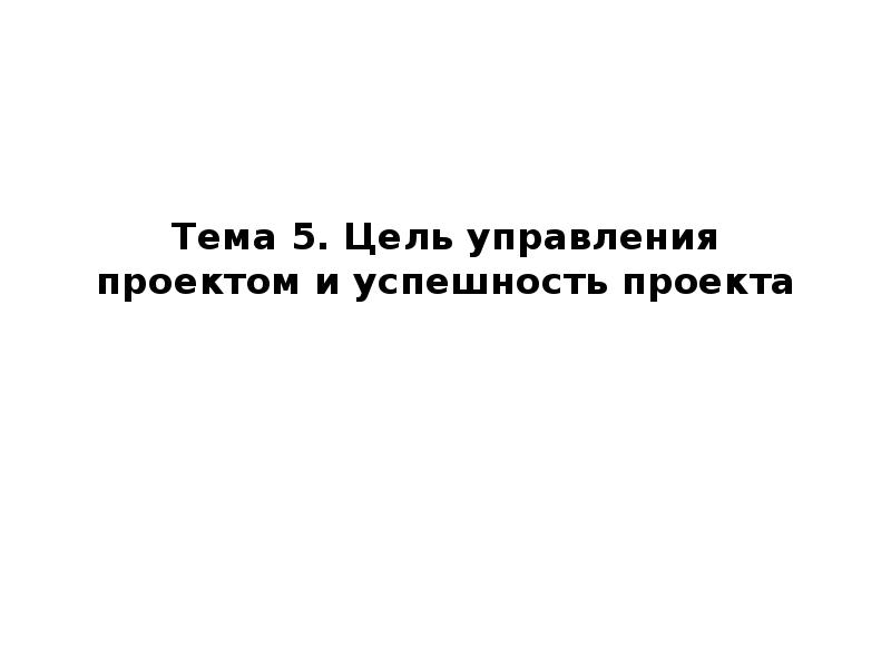 Цель управления проектом и успешность проекта