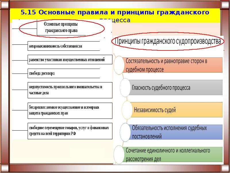 Схема основные принципы гражданского судопроизводства