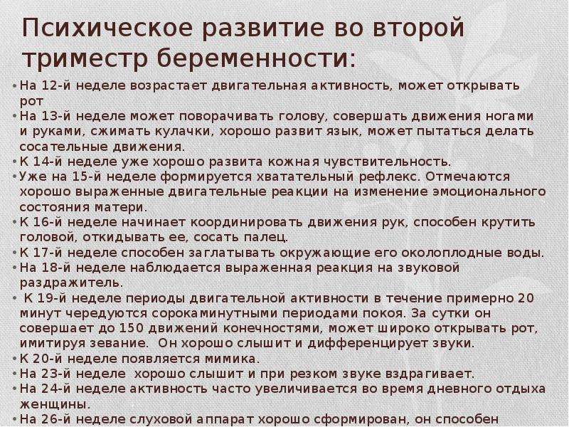 Пренатальное развитие