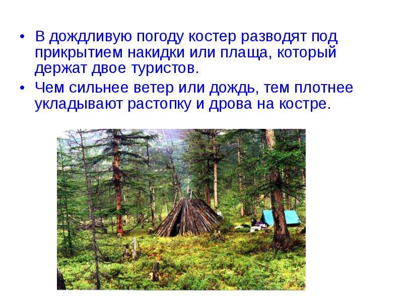 Схема основные причины вынужденного автономного существования в природных условиях