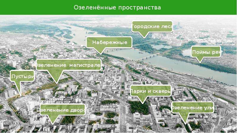 Управление городскими лесами