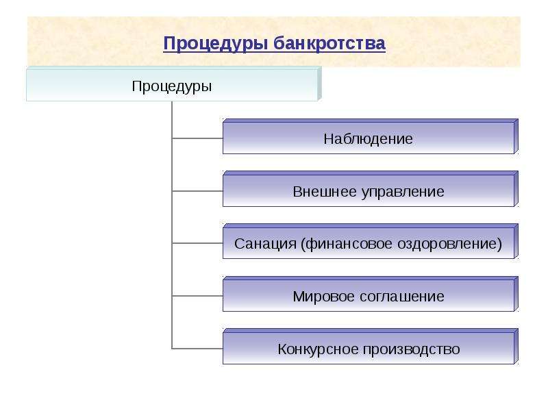 Вид создания. Виды процедур банкротства. Конкурсные процедуры. Современное понятие вида.