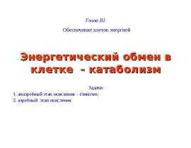 Энергетический обмен в клетке - катаболизм