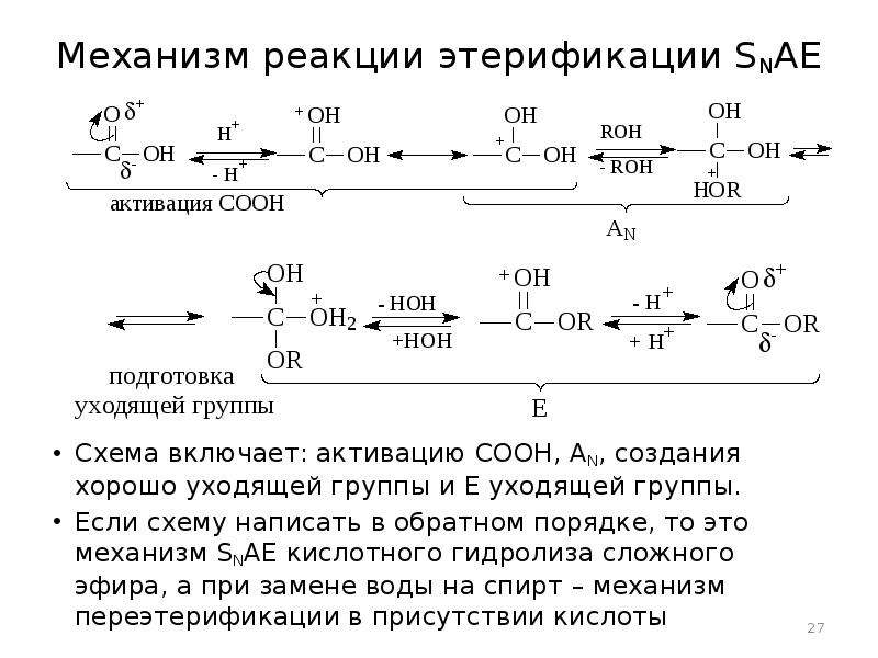 Реакция этерификации. Реакция этерификации механизм реакции. Механизм реакции этерификации. Общая схема реакции этерификации. Механизм реакции этерификации спиртов.