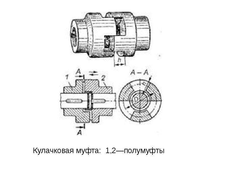 Кулачковая полумуфта чертеж