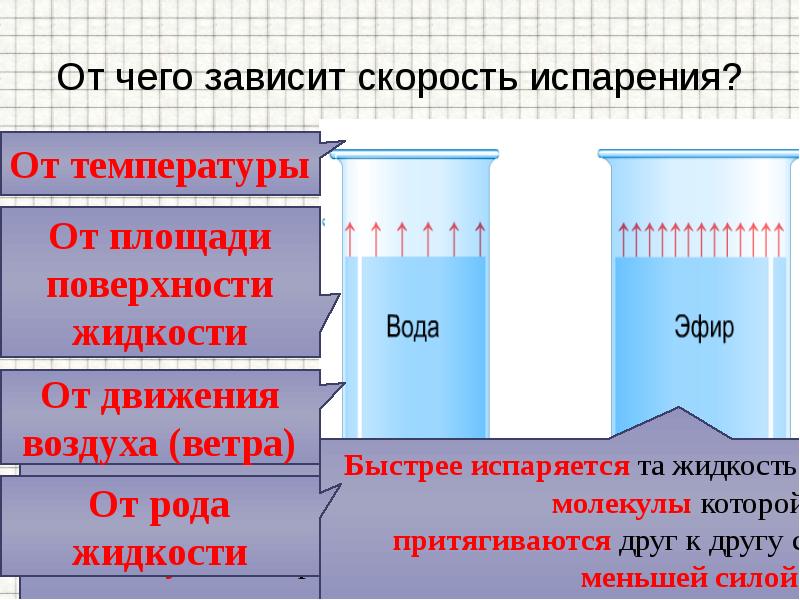 Площадь поверхности жидкости