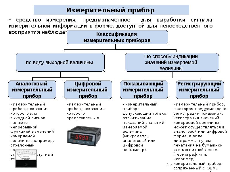 Измерение физических характеристик домашних животных презентация