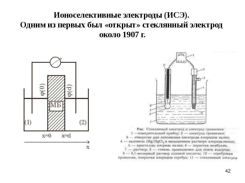 Ионоселективные электроды презентация