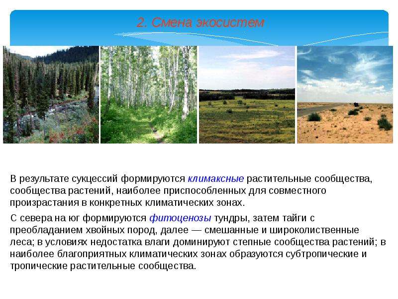 Что является примером смены экосистемы. Смена экосистем в природе. Смена растительных сообществ в тайге после пожара. Восстановление экосистем. Пример изменения экосистемы и их.