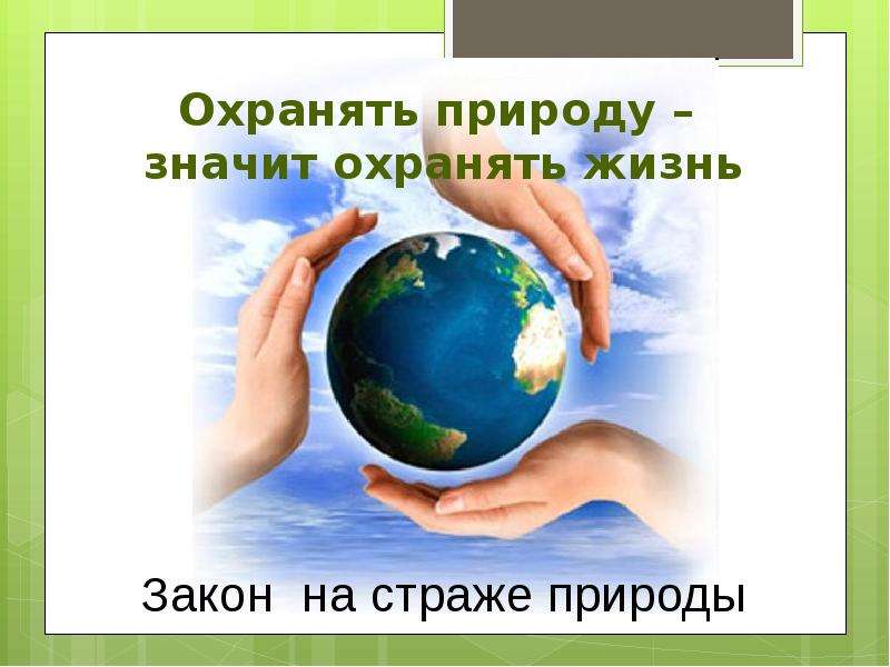 Рисунок на тему закон на страже природы 7 класс обществознание