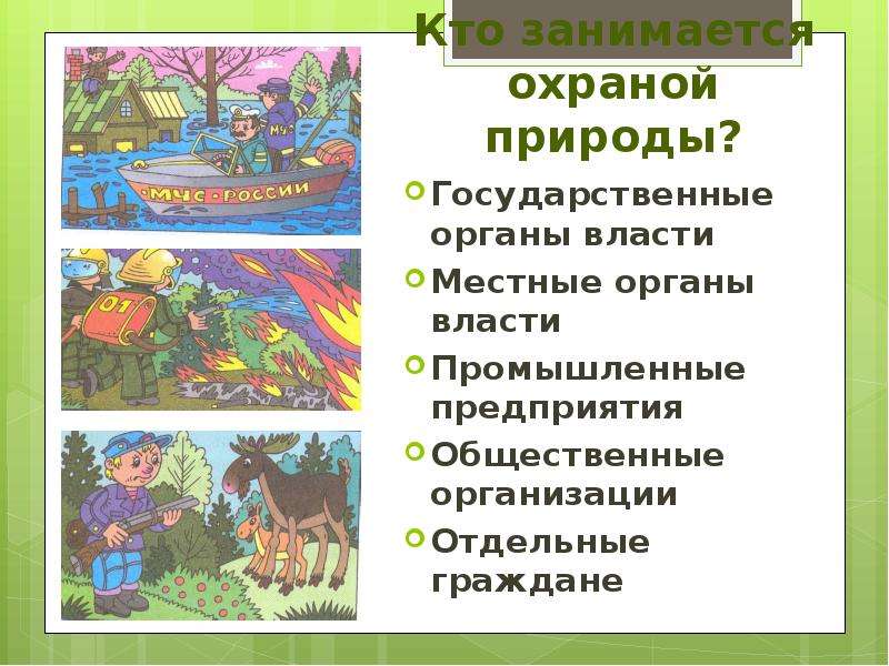 Презентация по обществу 7 класс закон на страже природы