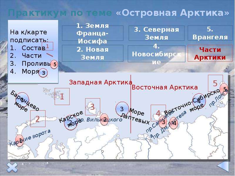 Островная арктика презентация 8 класс домогацких