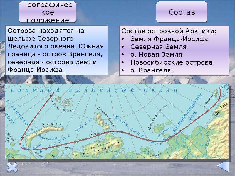 Островная арктика презентация 8 класс домогацких