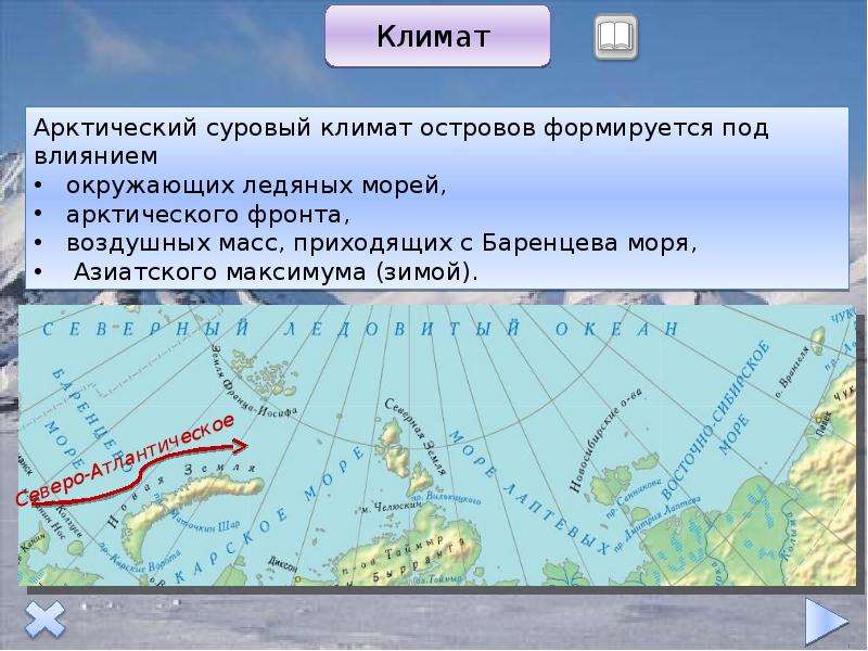 Островная арктика презентация 8 класс домогацких