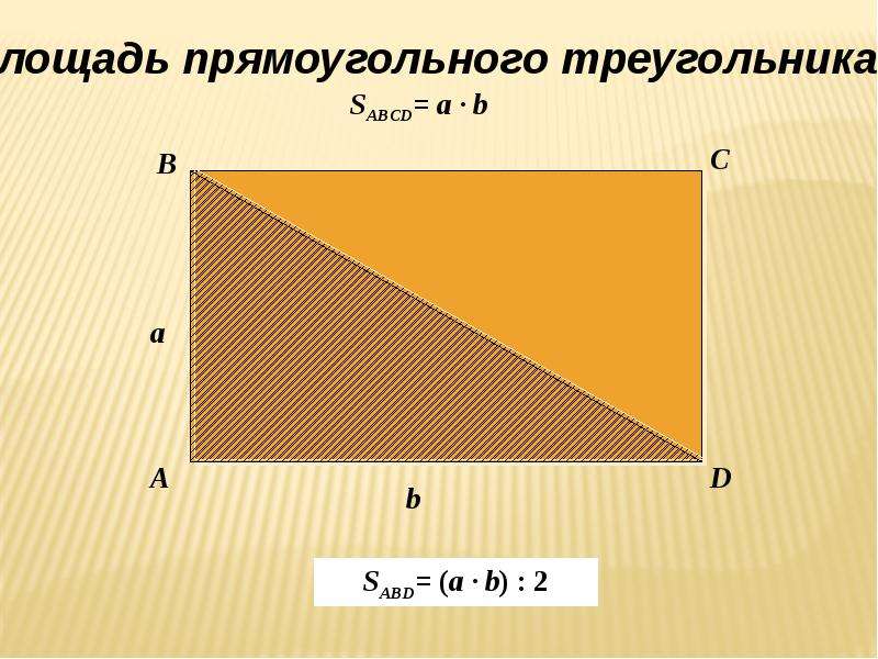 Площадь прямоугольника фото