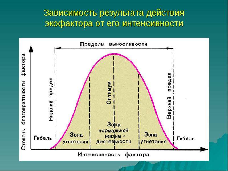 Схема действия экологического фактора