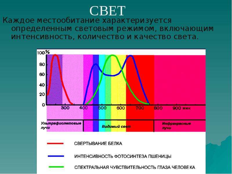 Световой режим виды