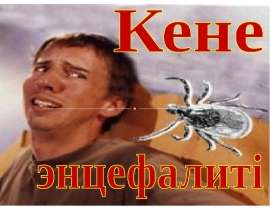 Кене энцефалиті
