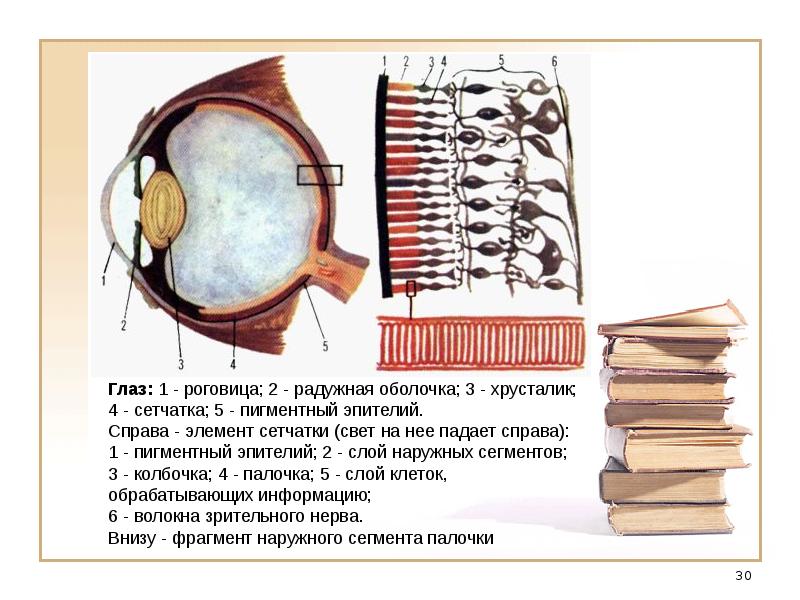 Что такое компьютерная геометрия