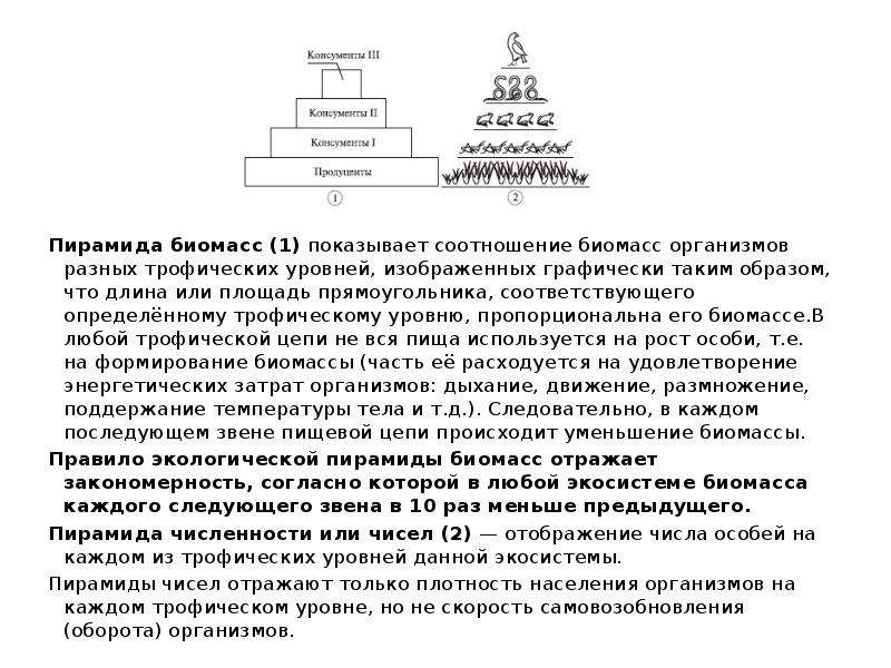 Схема трофического уровня