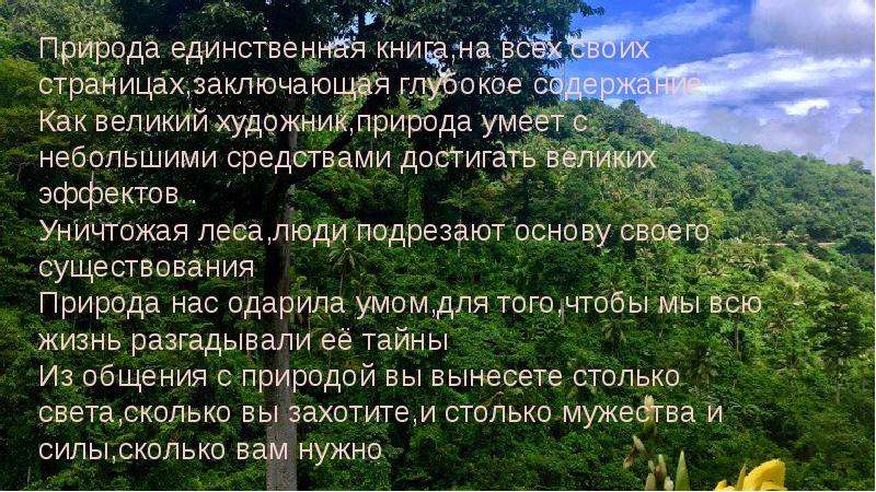 Природа единственная. Природа единственная книга. Эссе на тему природа единственная. Уничтожая леса люди подрезают основу своего существования. Природа это единственная книга с великим содержанием на каждом листе.