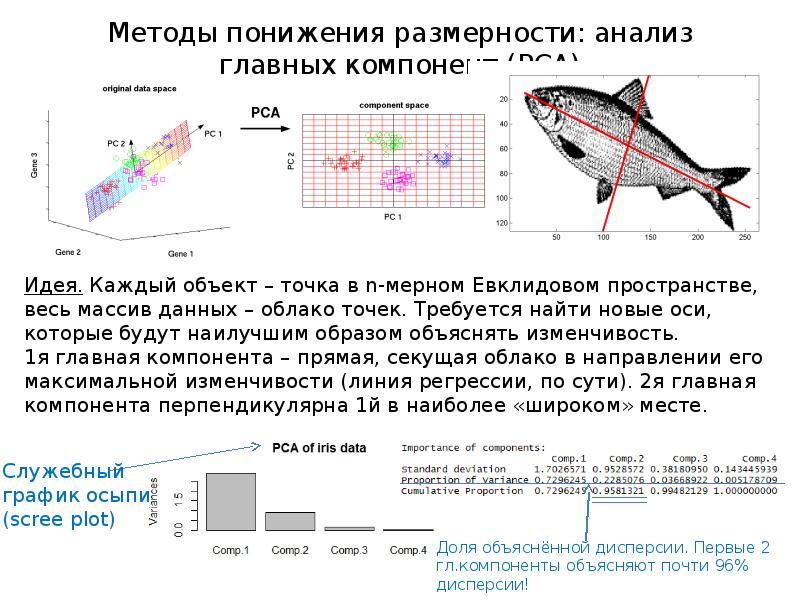 Понижение размерности. Методы снижения размерности. Метод анализа размерностей. Методы анализа размерности. Метод анализа размерности примеры.