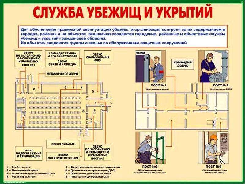 Паспорт убежища го образец