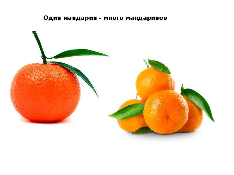 Овощи картинки один много