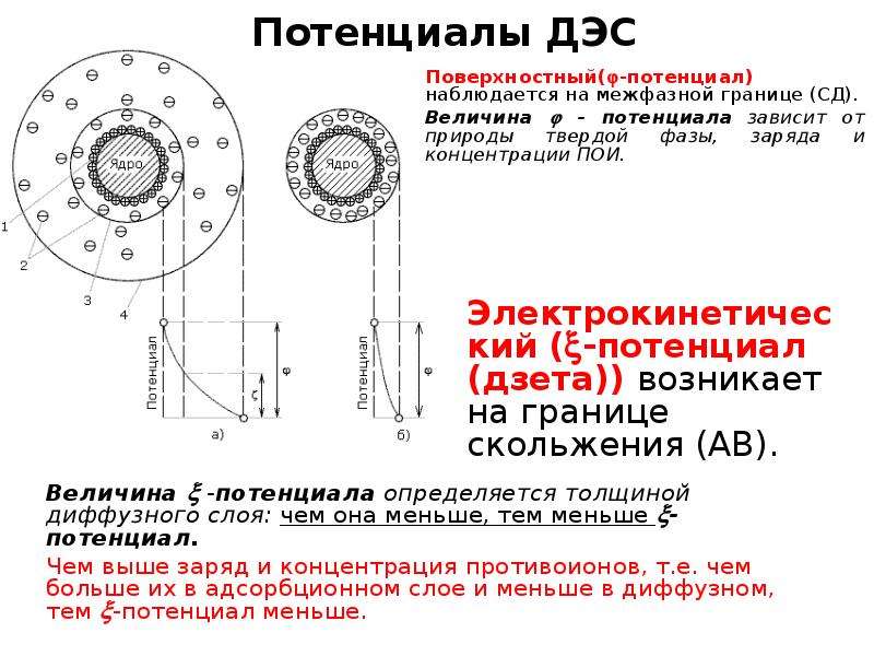 Схема строения коллоидной частицы с двойным электрическим слоем