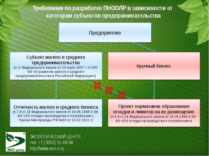 Индивидуальный проект по экологии 11 класс