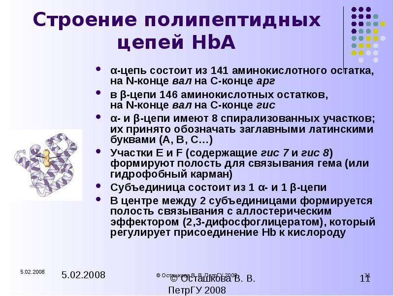 Структура полипептидной цепи