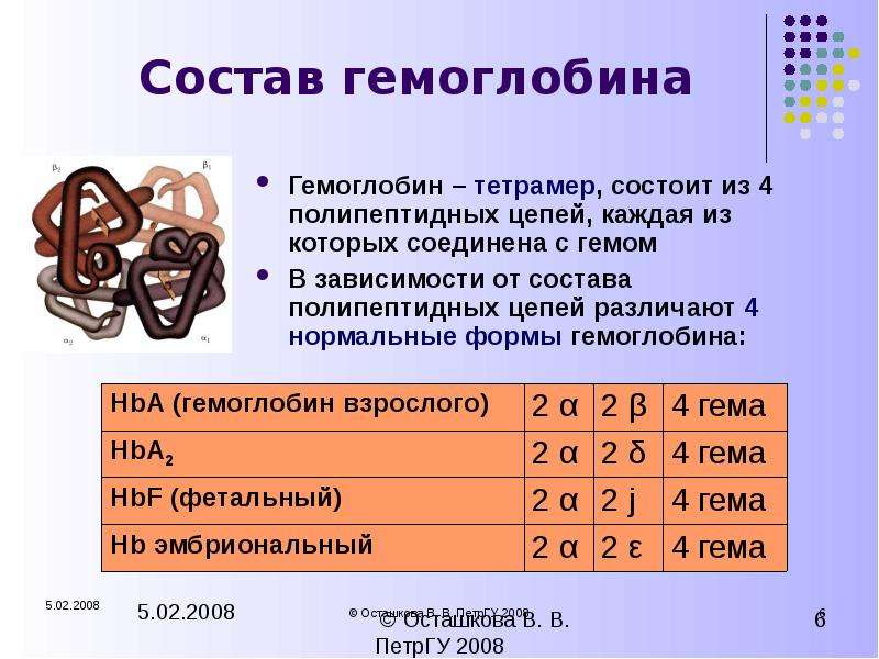 Железо входит в состав. Гем состав. Состав гемоглобина. Цепи гемоглобина. Строение бета цепей гемоглобина.