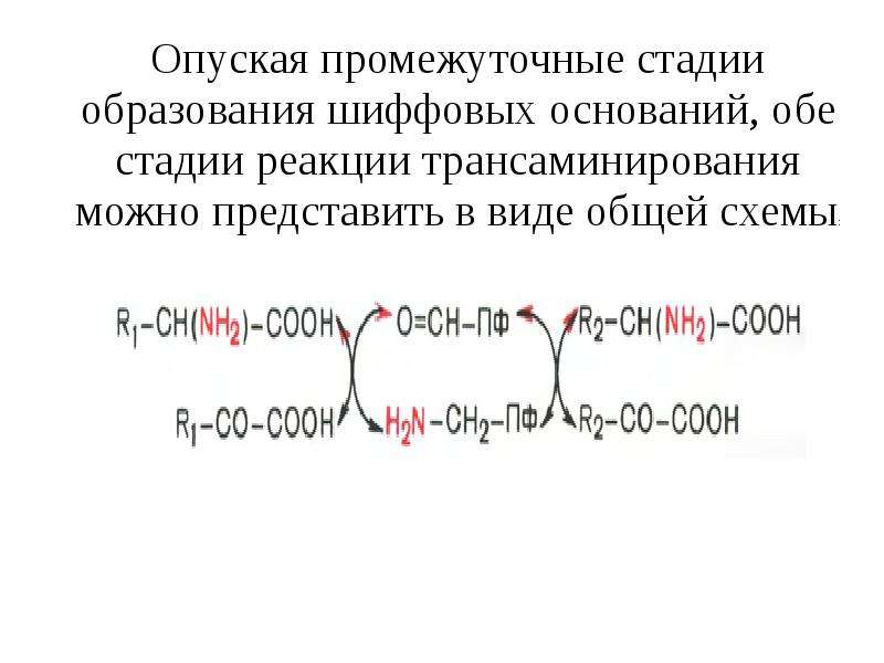 Простой обмен. Реакция образования шифовых о, нований. Реакция образования шиффовых оснований. Образования шиффова основания. Реакции промежуточного обмена аминокислот.