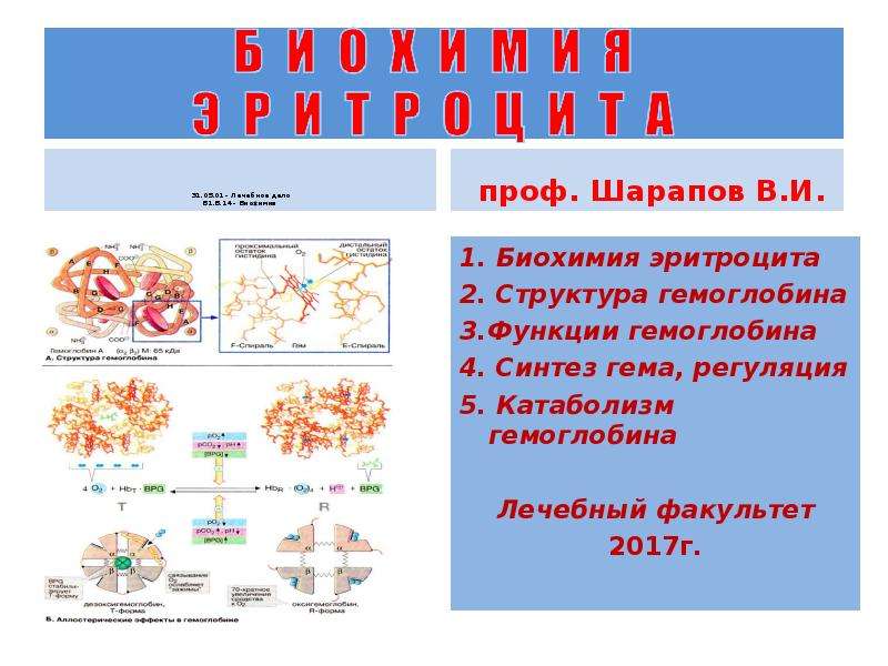 Биохимия эритроцитов. Строение эритроцита биохимия. Биохимия для презентации. Биохимия слайд.