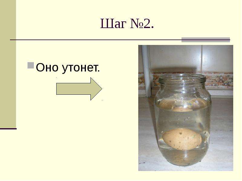 Доклад на тему химия на кухне