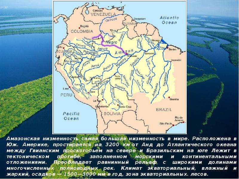 Амазонская низменность это самая большая по площади