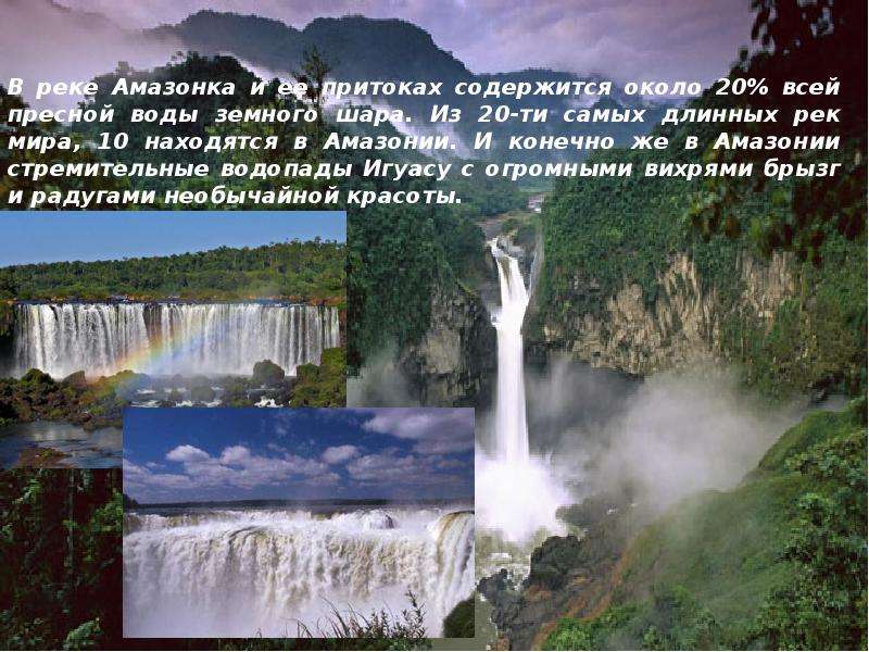 Эта природная зона расположена на амазонской низменности