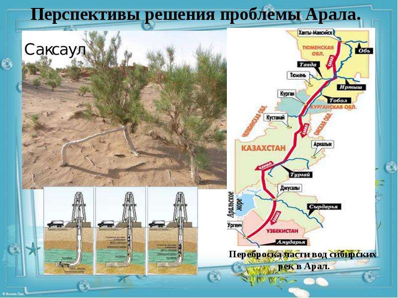 Проект проблемы аральского моря