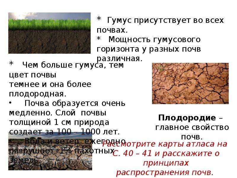 Какую толщину может достигать почва. Почва. Гумус почвы. Гумусовый слой почвы. Гумусный слой почвы это.