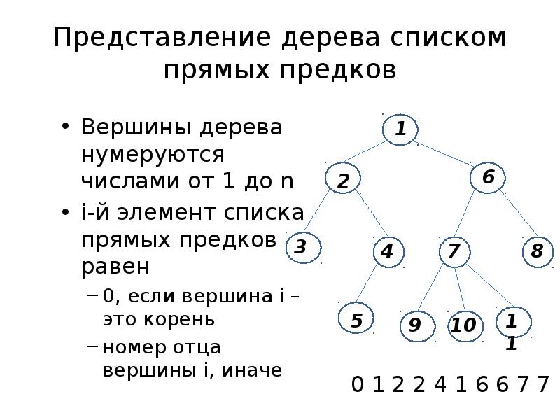 Вершина корень. Нумерация вершин дерева. Представление дерева. Четные вершины дерева. Представление дерева в виде списка.