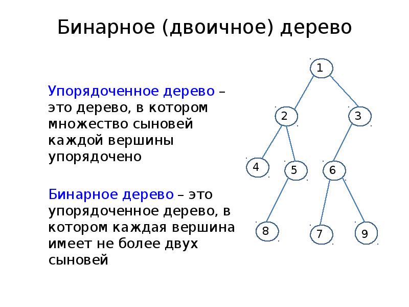 Бинарное дерево. Неупорядоченное бинарное дерево это. Двоичное упорядоченное дерево. Упорядоченное не бинарное дерево.